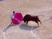 Bullfighting is legal in some countries.