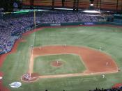 Tropicana Field equipped with artificial turf. In many artificial turf baseball installations, a full dirt infield is not provided, only the pitcher's mound and 