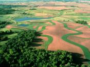 English: View of contour buffer strips on farm land in the United States, a conservation practice to reduce erosion and water pollution.