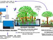 English: Schematic drawing from a typical sewage treatment plant via subsurface flow constructed wetlands (SFCW) for a productive and economical treatment and reuse of sewage and water.