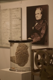 Charles Babbage, father of much of modern computing, is also displayed at the London Museum of Science- that's his brain in the jar