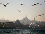 Istanbul'da çevre kirliliği