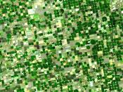 Circular crop fields in Kansas, characteristic of center pivot irrigation.