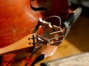Cello String Instrument IMG_3760
