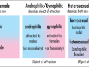 Androphilia-gynephilia