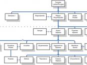 Genealogy of Agamemnon