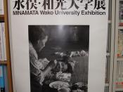 Minamata Disease Poster