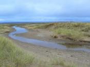 English: Salt water creek A strip of brackish water among the dunes near Tentsmuir Point.