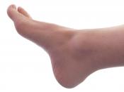 English: Grown male right foot (angle 1)