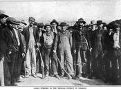 photo of United Mine Workers of America strikers during Ludlow strike, caption says: ARMED STRIKERS IN THE TRINIDAD DISTRICT IN COLORADO