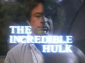 The Incredible Hulk (TV series)