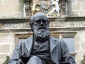 English: Shrewsbury's most famous son Charles Darwin's statue outside the library, formerly Shrewsbury School which he attended from 1818 to 1825, as a boarder although his family home was nearby. He disliked his time as a scholar, complaining about compu