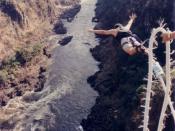 Spy007au bungee jumping off the Zambezi Bridge, Victoria Falls, Africa