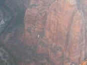 Condors while Ascending to Angels Landing