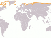 English: Map of Tundra region