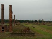English: Chimneys of collapsed buildings in Auschwitz II Birkenau