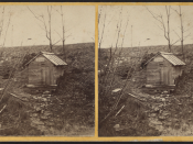 Jane McCrea Spring, Fort Edward, N.Y, from Robert N. Dennis collection of stereoscopic views