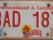 NEWFOUNDLAND 2005 license plate