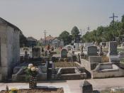 Cemetery Soniat C
