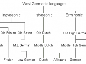 The simplified relation between the languages Dutch, English and German.