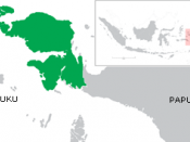 Indonesia West Irian Jaya map