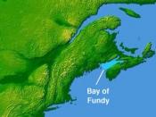 English: Bay of Fundy © 2004 Matthew Trump based on NASA image in public domain