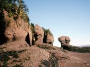 English: Rock formations at the Bay of Fundy, Canada.