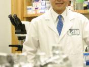 English: David Ho in his laboratory within the Aaron Diamond AIDS Research Center, New York, NY.