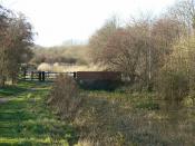 English: Hollygate Bridge Now no more than a culvert. This is the limit of navigation proposed in the feasibility study for the restoration of the western end of the canal.