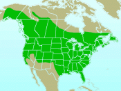 Approximate range/distribution map of the Downy Woodpecker (Picoides pubescens). In keeping with WikiProject: Birds guidelines, yellow indicates the summer-only range, blue indicates the winter-only range, and green indicates the year-round range of the s
