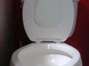 English: toilet seat up Deutsch: hochgeklappte Toilettenbrille (USA)