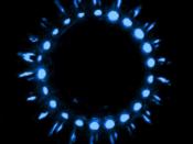 What is Bioluminescence?