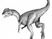 Artist's depiction of a Dilophosaurus wetherelli