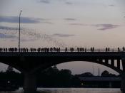 English: Emergence of the bats of the Congress Avenue Bridge in Austin, Texas at dusk. Français : Émergence des chauve-souris du Congress Avenue Bridge à Austin (Texas) au crépuscule.