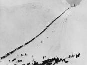 Miners and prospectors climb the Chilkoot Trail during the Klondike Gold Rush.