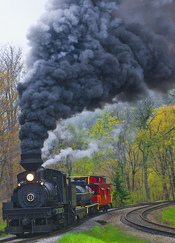 Freight Train -- Cass Scenic Railroad State Park (WV) May 2013