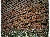 just #bricks and some #flowers for...