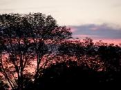 Wyeth Sunset