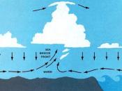 English: Schematic cross section through a sea breeze front. If the air inland is moist, cumulus often marks the front.