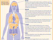 How tobacco affects your body