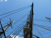 Top of the Mast