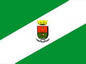 English: Flag of Dom Pedrito, Rio Grande do Sul, Brazil Português: Bandeira de Dom Pedrito, Rio Grande do Sul, Brasil