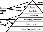 English: Pacification and survival. Adaptation of Maslow's Hierarchy demonstrating cognitive triangulation relevancy.