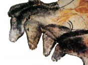 Drawing of horses in the Chauvet cave.