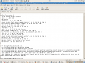 Example of an IRC Script