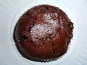 A Kirkland Signature (Costco's store brand) chocolate muffin with chocolate chips