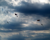 English: Flying kites