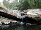 English: Chimmini water stream