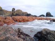 English: Felsite rocks Muchalls The dyke of pink rock in the middle ground is felsite a fine grained igneous rock.