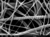 Titanium dioxide nanofibers